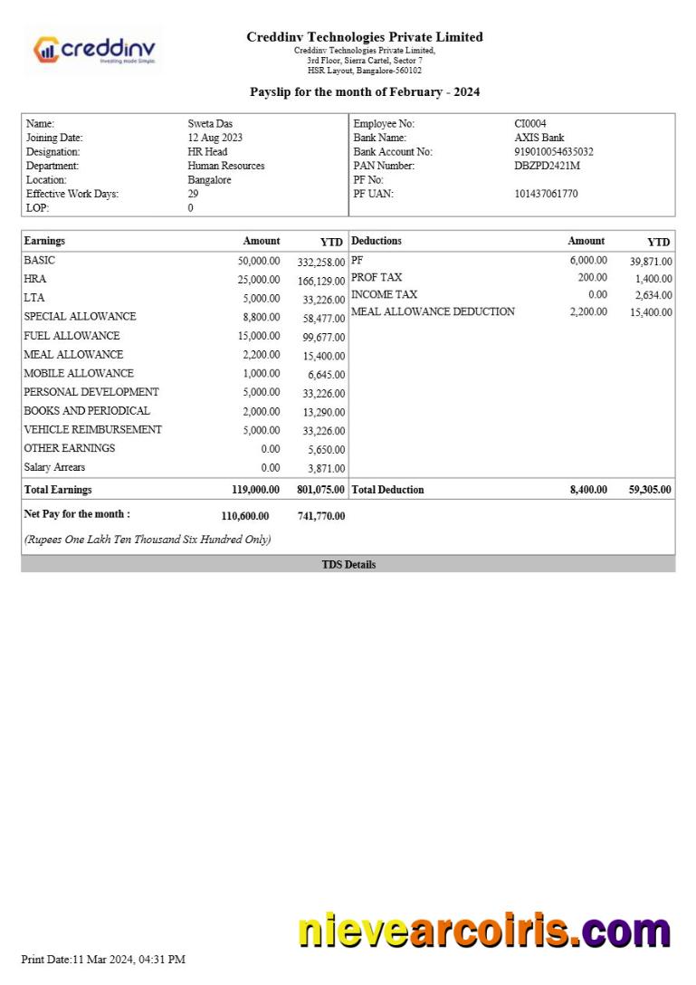 Creddinv Technologies payslip